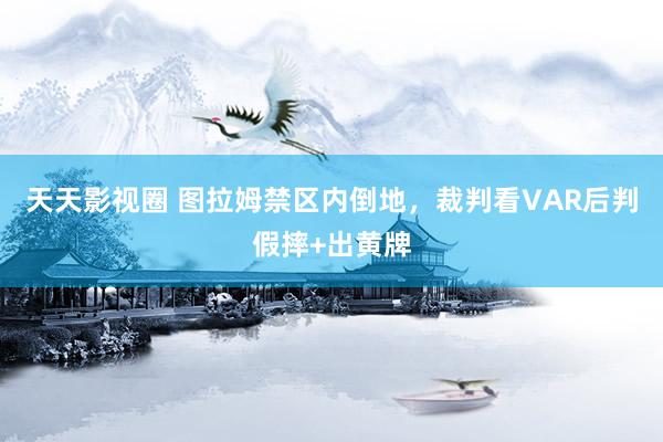 天天影视圈 图拉姆禁区内倒地，裁判看VAR后判假摔+出黄牌
