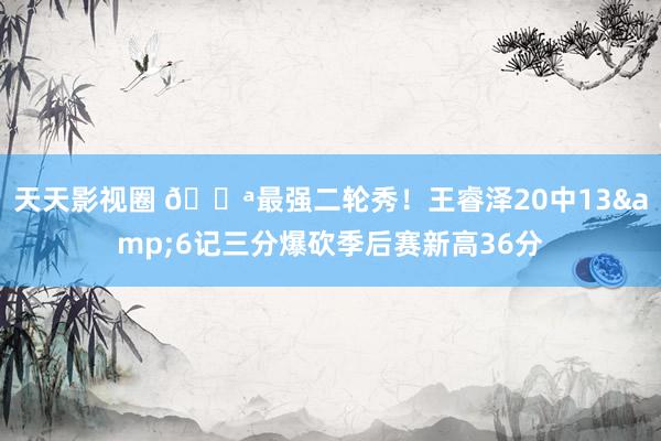 天天影视圈 💪最强二轮秀！王睿泽20中13&6记三分爆砍季后赛新高36分